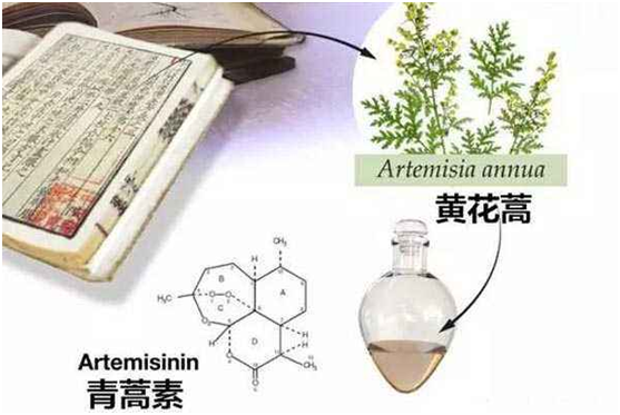 华体会体育(中国)HTH·官方网站：向中医药看齐，与世界共享中医药文化(图1)